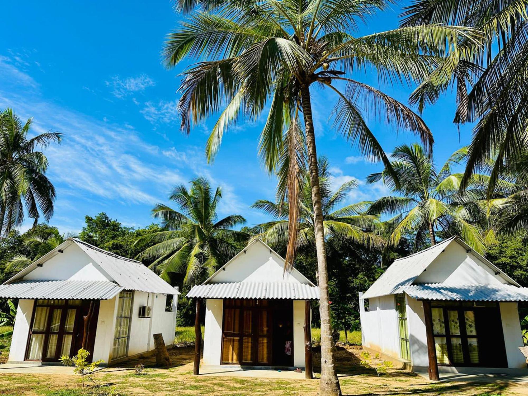 Eagle Safari Cottage Удавалаве Экстерьер фото